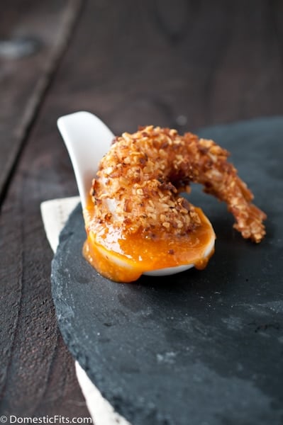 https://domesticfits.com/wp-content/uploads/2013/06/Coconut-Almond-Shrimp-with-Apricot-Dipping.jpg