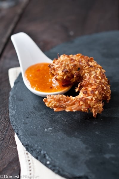 https://domesticfits.com/wp-content/uploads/2013/06/Coconut-Almond-Shrimp-with-Apricot-Dipping2.jpg