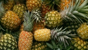 10 Incredible Benefits of Pineapple for Beauty and Health