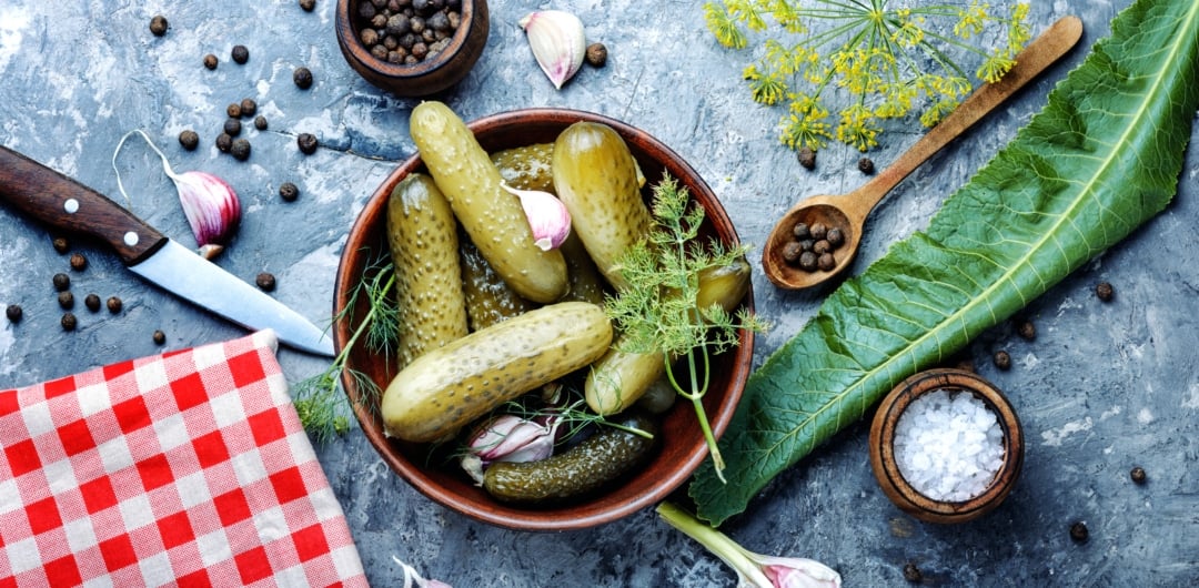 5 Health Benefits of Pickles & 3 Tips and Recipes Domestic Fits